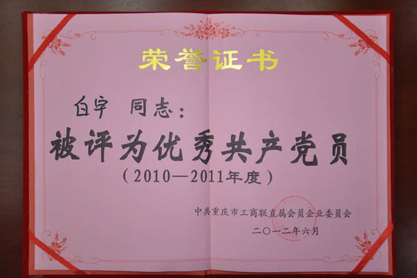 我司黨建工作榮獲市工商聯(lián)直屬會(huì)員企業(yè)委員會(huì)表彰